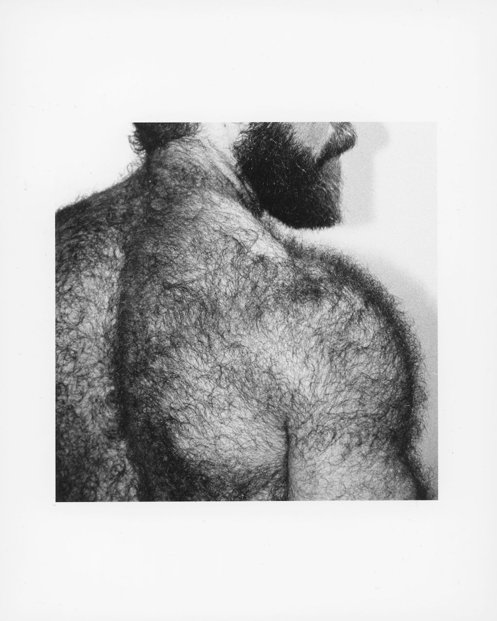 Pierce Amadeus, Fur, 2024