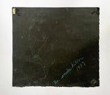 Karen Finley, The Snake Killer, 1989