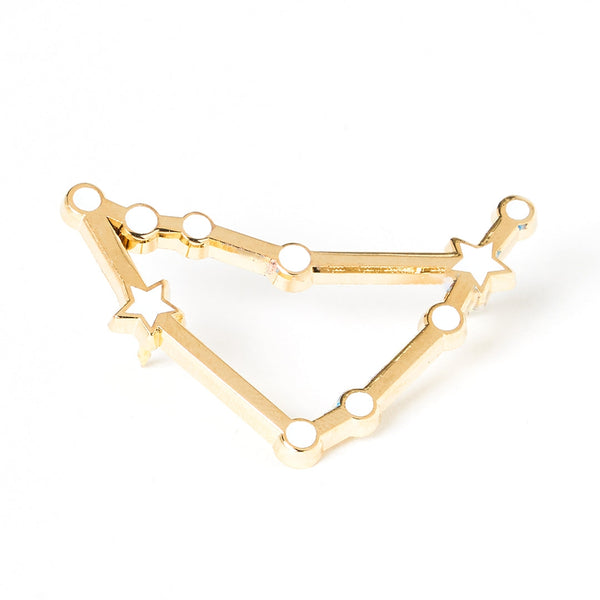 Constellations Capricorn Pin