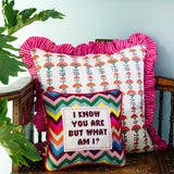 But What Am I Needlepoint Pillow