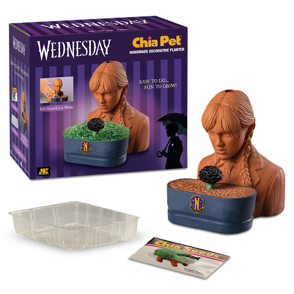 WEDNESDAY CHIA PET