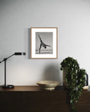 David Zimmerman, Flight, 2023