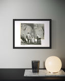 Samuel Snodgrass, Spectator Sport, 2025