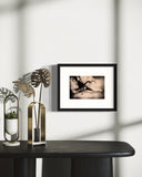 Jacob Aue Sobol, Copenhagen (Denmark), 2010