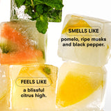 CITRUSH Candle by Boy Smells