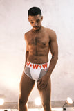 Walter Van Beirendonck Net Briefs