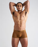 TEAMM8 Casanova Trunk - Brass