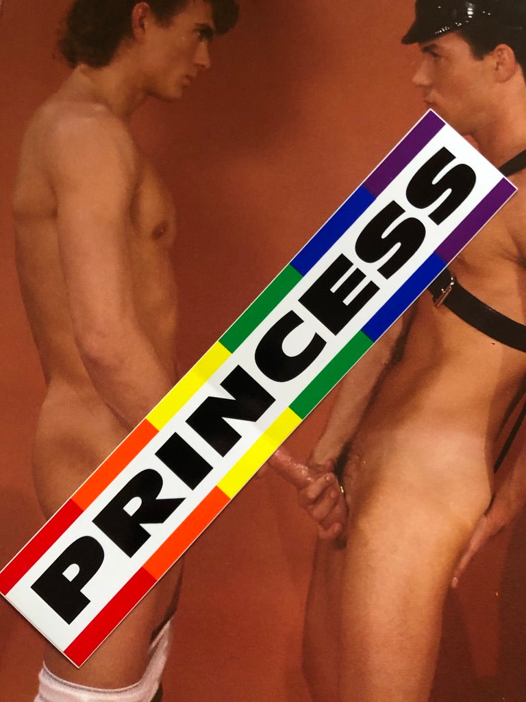 PRINCESS VINTAGE BUMBER STICKER