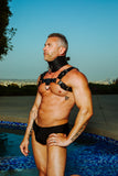 Locking Posture Collar by Strict Leather
