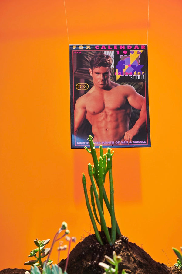 Vintage Fox Studio 1995 Wall Calendar