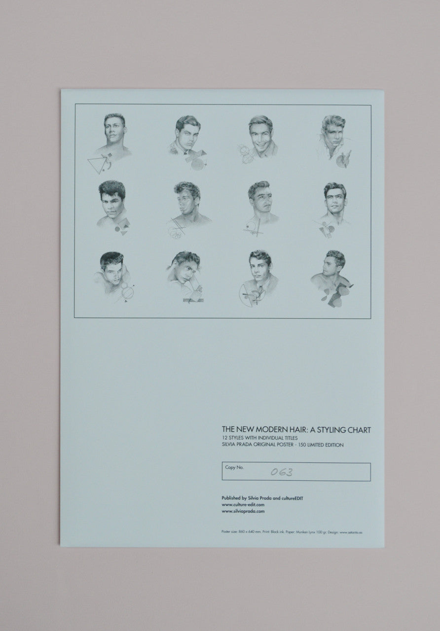 Silvia Prada, The New Modern Hair: A Styling Chart Poster