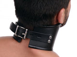 Locking Posture Collar by Strict Leather
