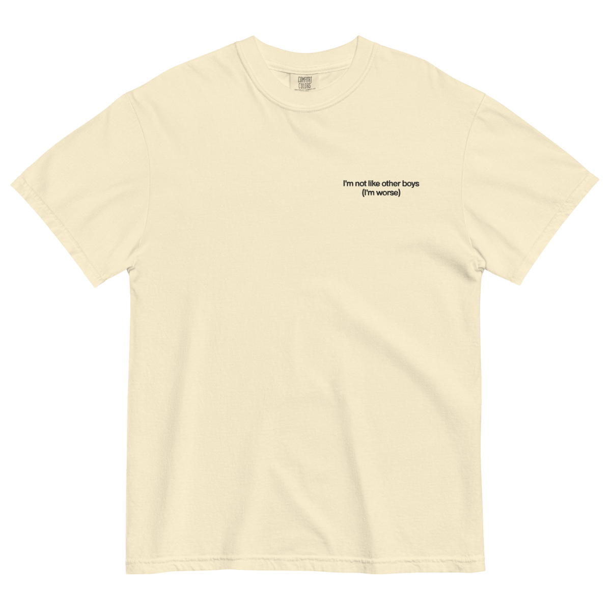 I'm Not Like the Other Boys Embroidered Shirt