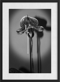 Josef Jasso, Boys As Flowers 2, 2018