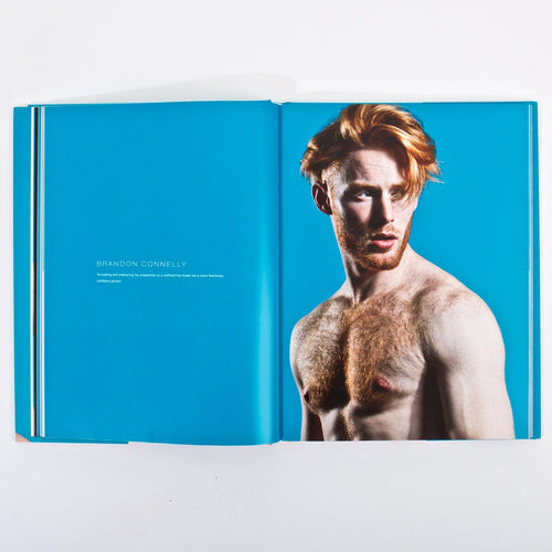 Red Hot 100 Art Book