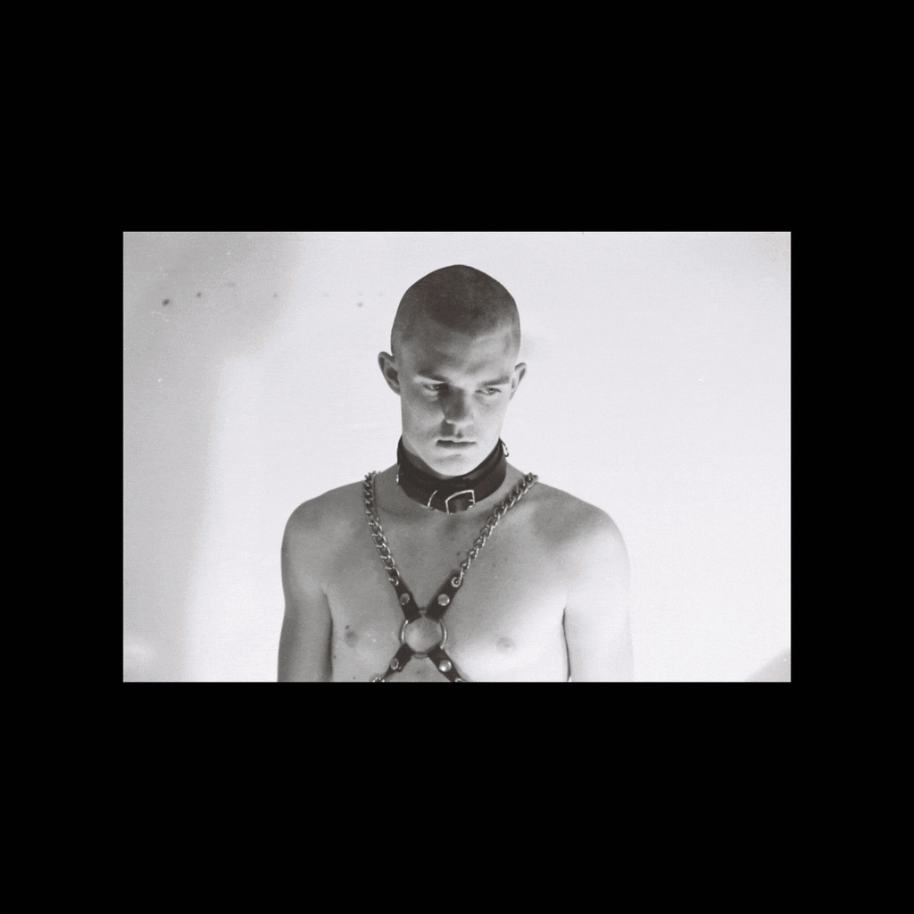 Bruce LaBruce - The Revolution Is My Boyfriend