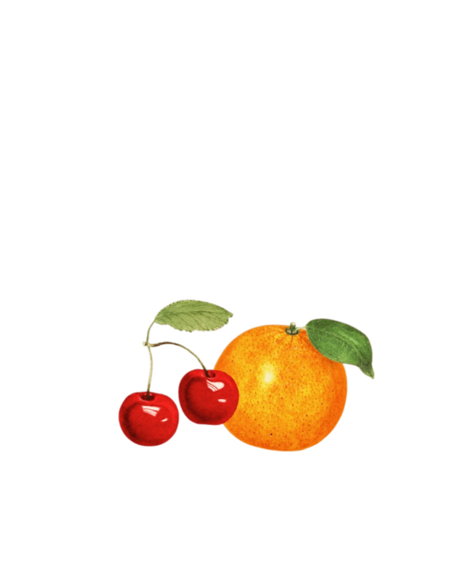 Women's Orange Cherry Fruit Crop Top T-Shirt