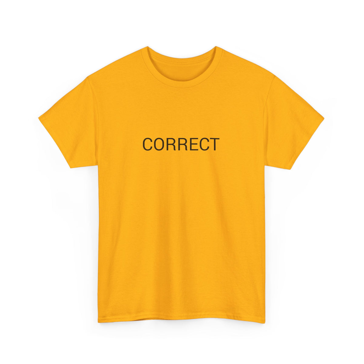 CORRECT TEE BY CULTUREEDIT AVAILABLE IN 13 COLORS