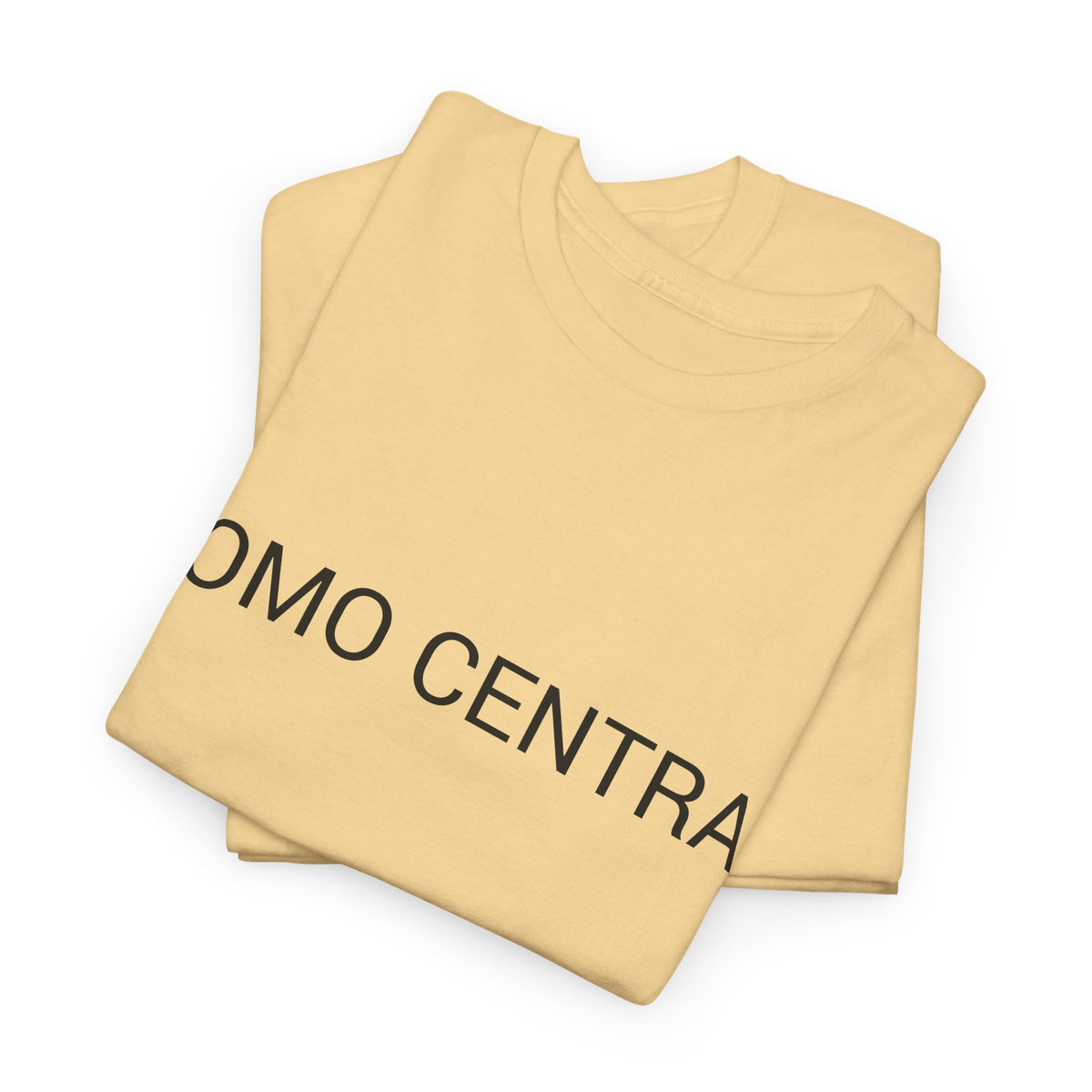 HOMO CENTRAL TEE BY CULTUREEDIT AVAILABLE IN 13 COLORS