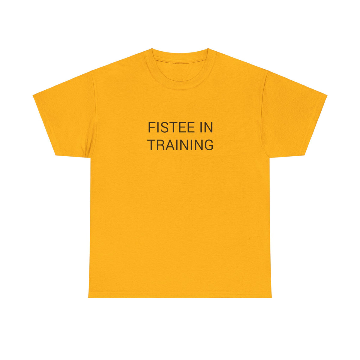 FISTEE IN TRAINING TEE BY CULTUREEDIT AVAILABLE IN 13 COLORS