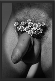 Josef Jasso, Boys As Flowers 3, 2018