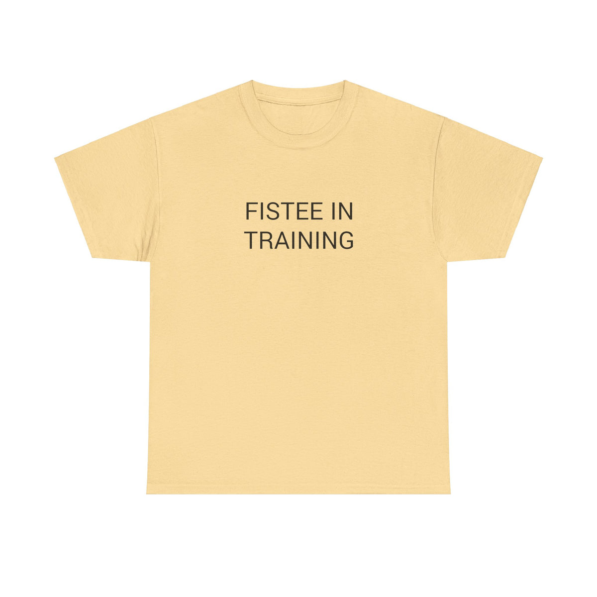 FISTEE IN TRAINING TEE BY CULTUREEDIT AVAILABLE IN 13 COLORS