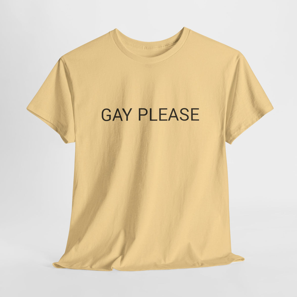 GAY PLEASE TEE BY CULTUREEDIT AVAILABLE IN 13 COLORS