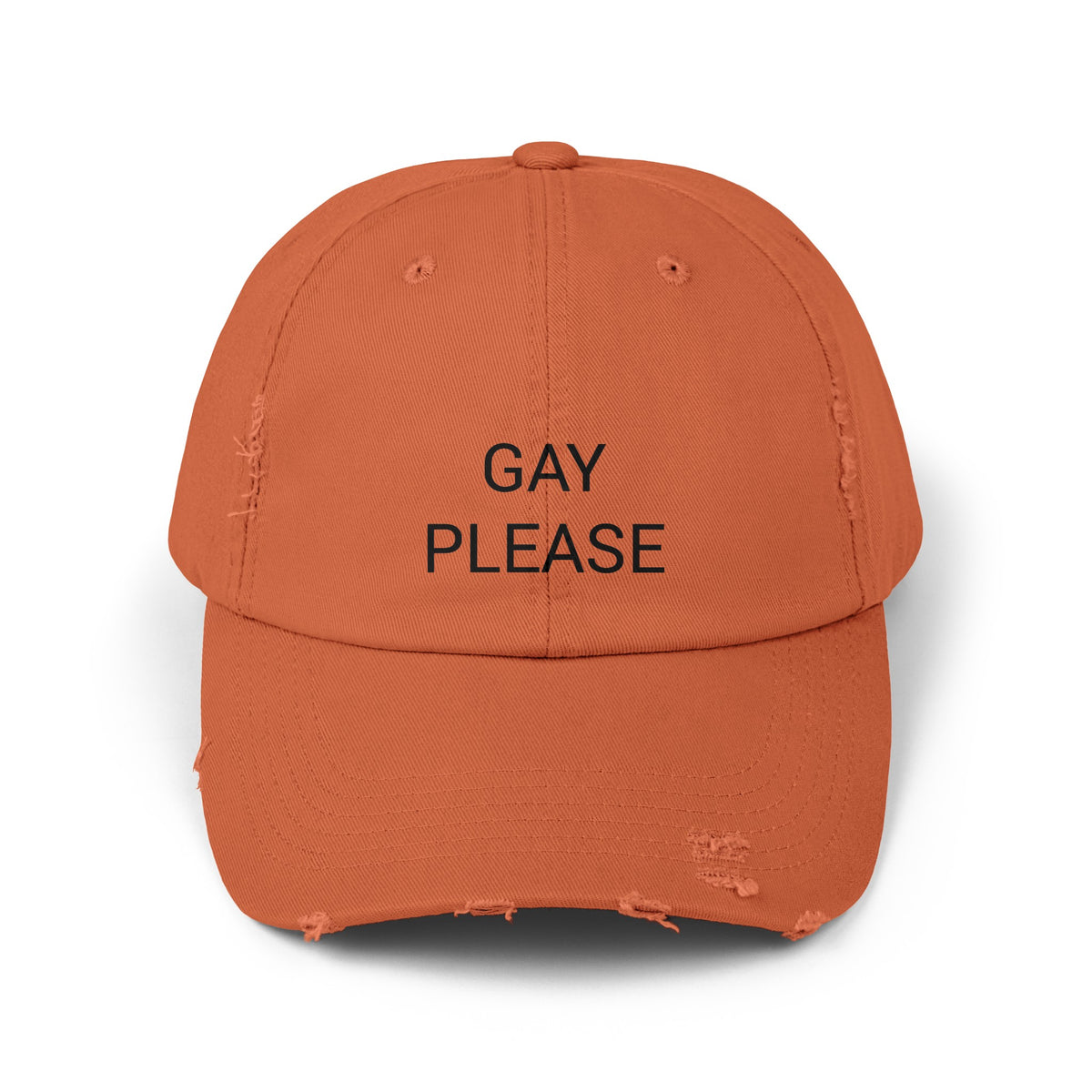 GAY PLEASE Distressed Cap in 6 colors
