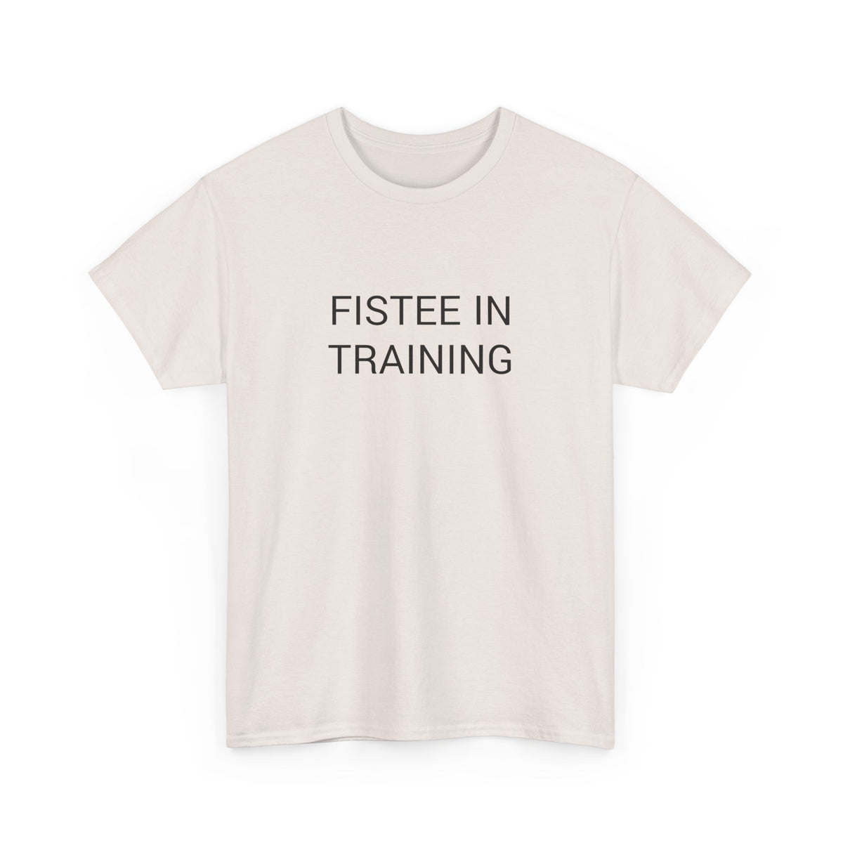 FISTEE IN TRAINING TEE BY CULTUREEDIT AVAILABLE IN 13 COLORS