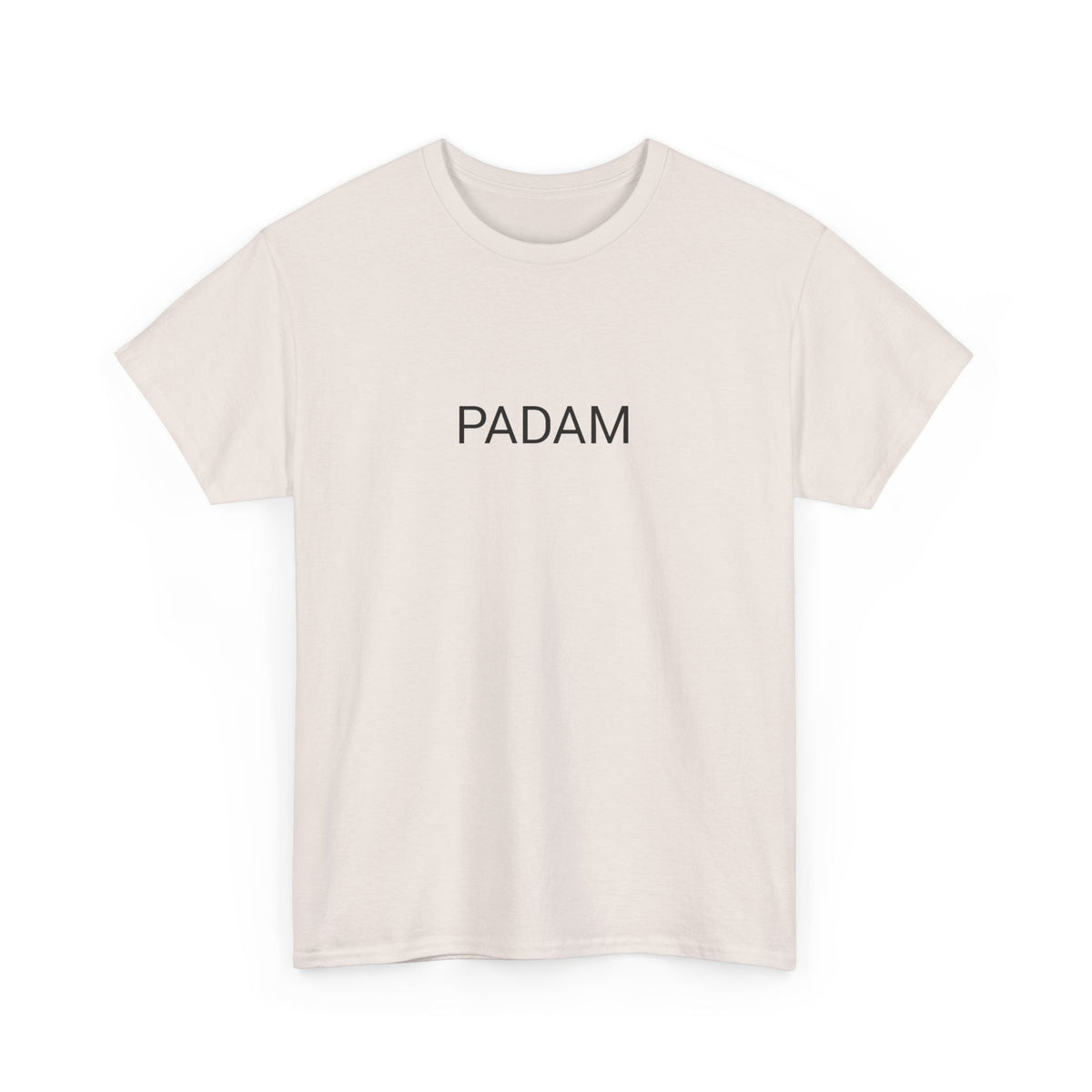 PADAM TEE BY CULTUREEDIT AVAILABLE IN 13 COLORS