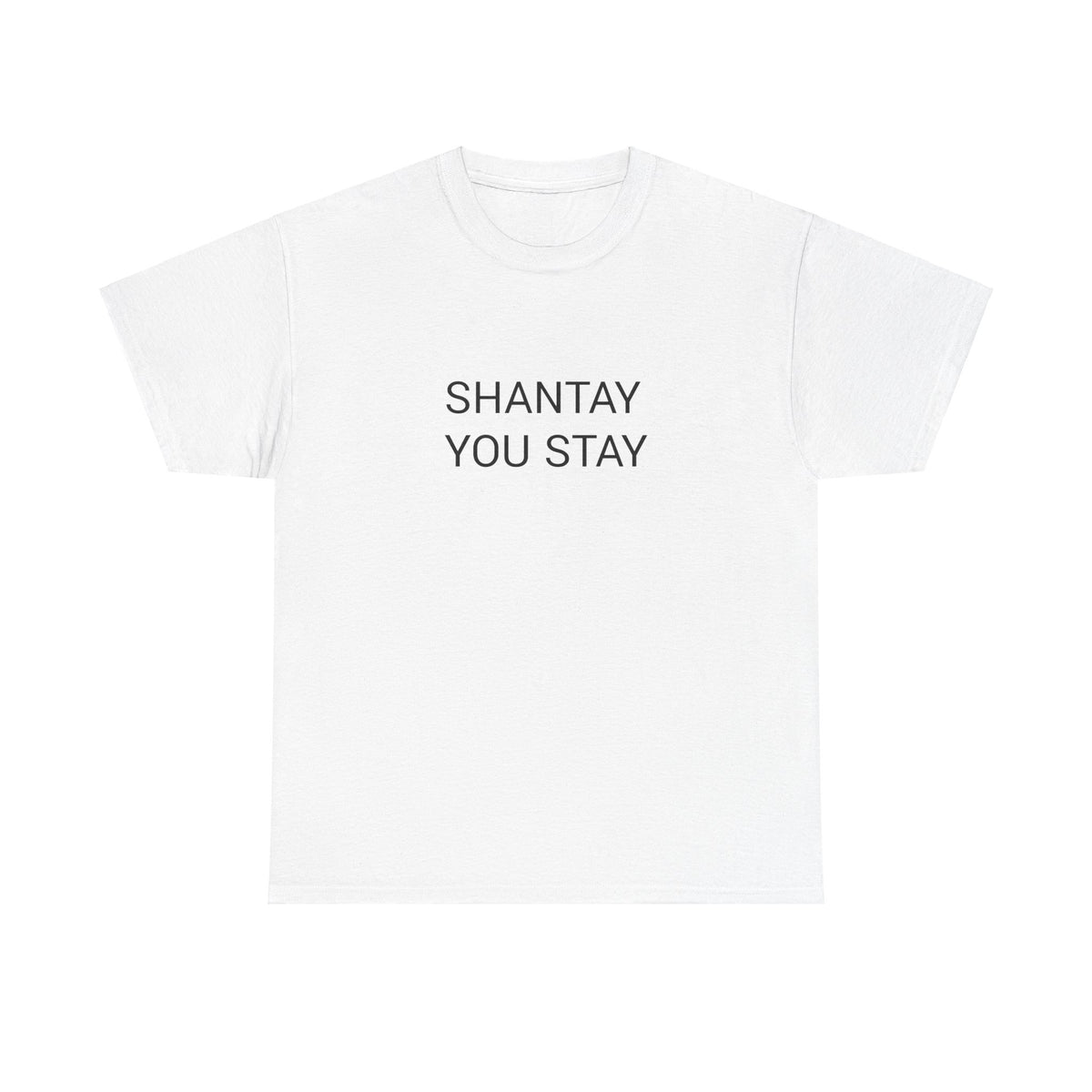 SHANTAY YOU STAY TEE BY CULTUREEDIT AVAILABLE IN 13 COLORS