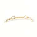 Constellations Aries Pin