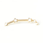 Constellations Aries Pin