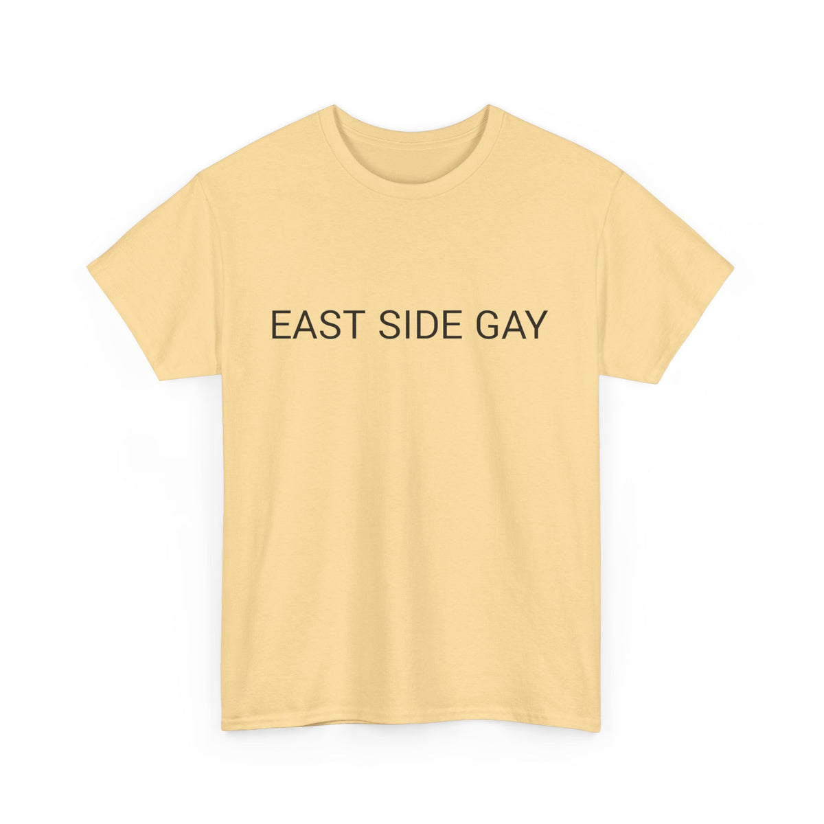EAST SIDE GAY TEE BY CULTUREEDIT AVAILABLE IN 13 COLORS