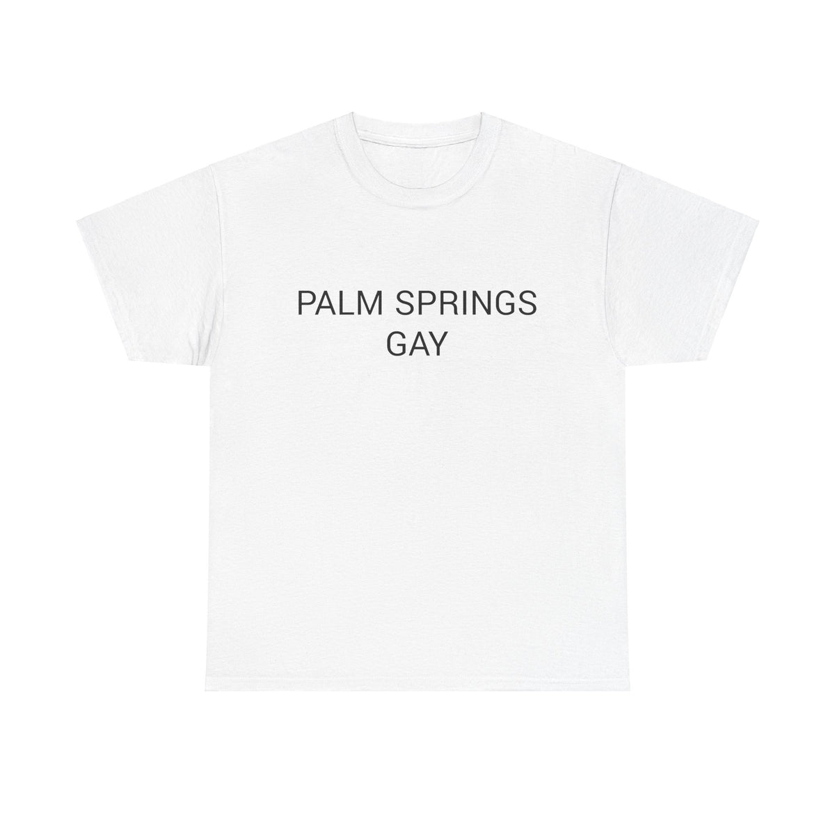 PALM SPRINGS GAY TEE BY CULTUREEDIT AVAILABLE IN 13 COLORS