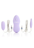 Twin Pleasure Pack Bullet (2 Pack) with Wired Remote Control - Purple