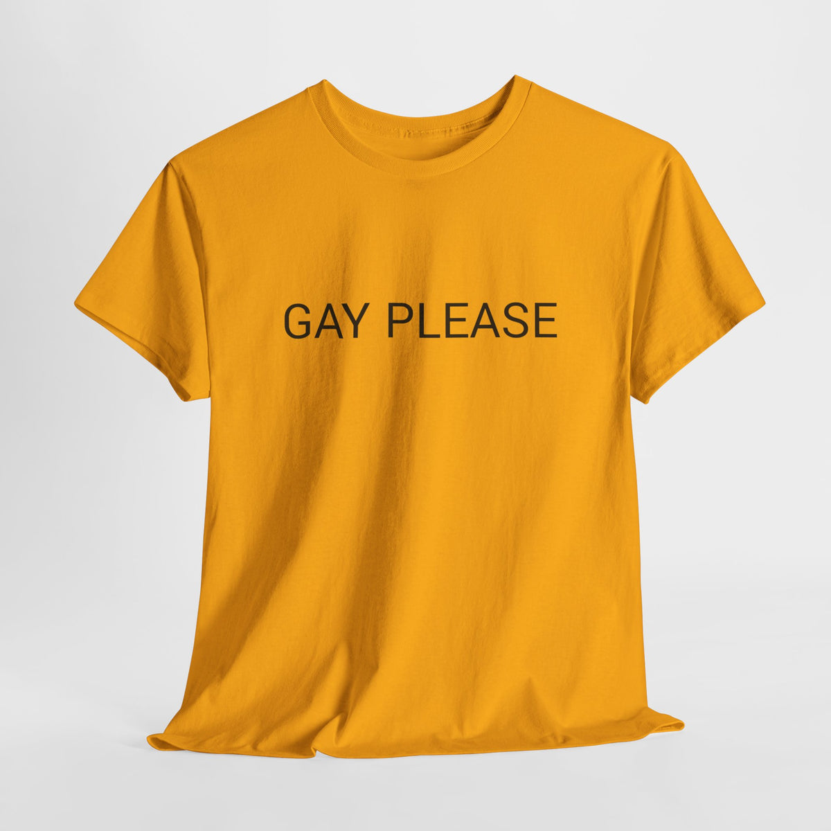 GAY PLEASE TEE BY CULTUREEDIT AVAILABLE IN 13 COLORS