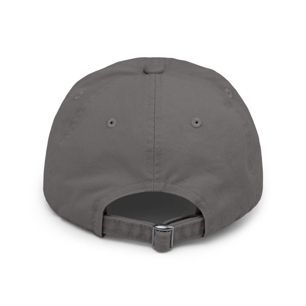 HOST Distressed Cap in 6 colors