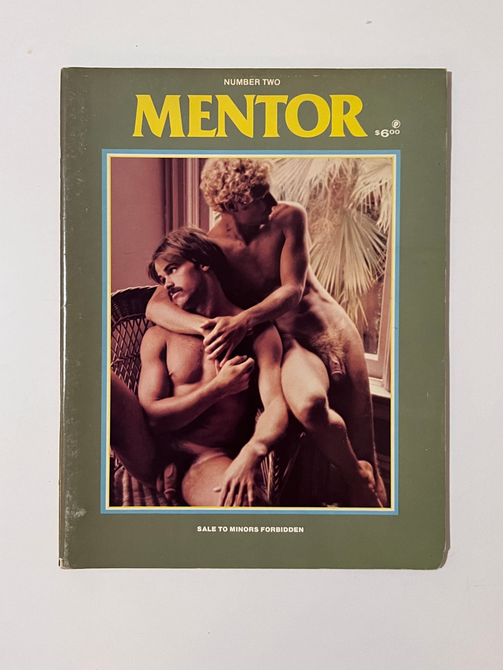 Mentor 2