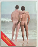 Javelin #2 - Fire Island
