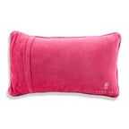 Merry & Bright Needlepoint Pillow