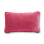F This Needlepoint Pillow