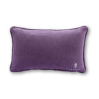 Fun in Dysfunctional Needlepoint Pillow