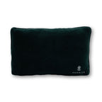 Emails Finding Me Needlepoint Pillow