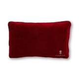 Mentally Stable Needlepoint Pillow