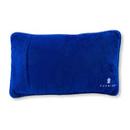 High End Gay Needlepoint Pillow