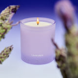 LAVENDARE by BOY SMELLS