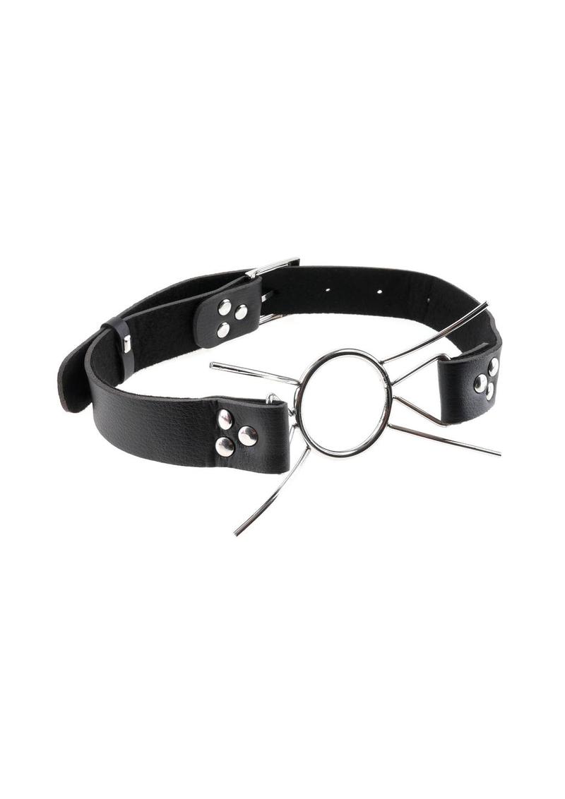 Fetish Fantasy Extreme Spider Gag - Silver