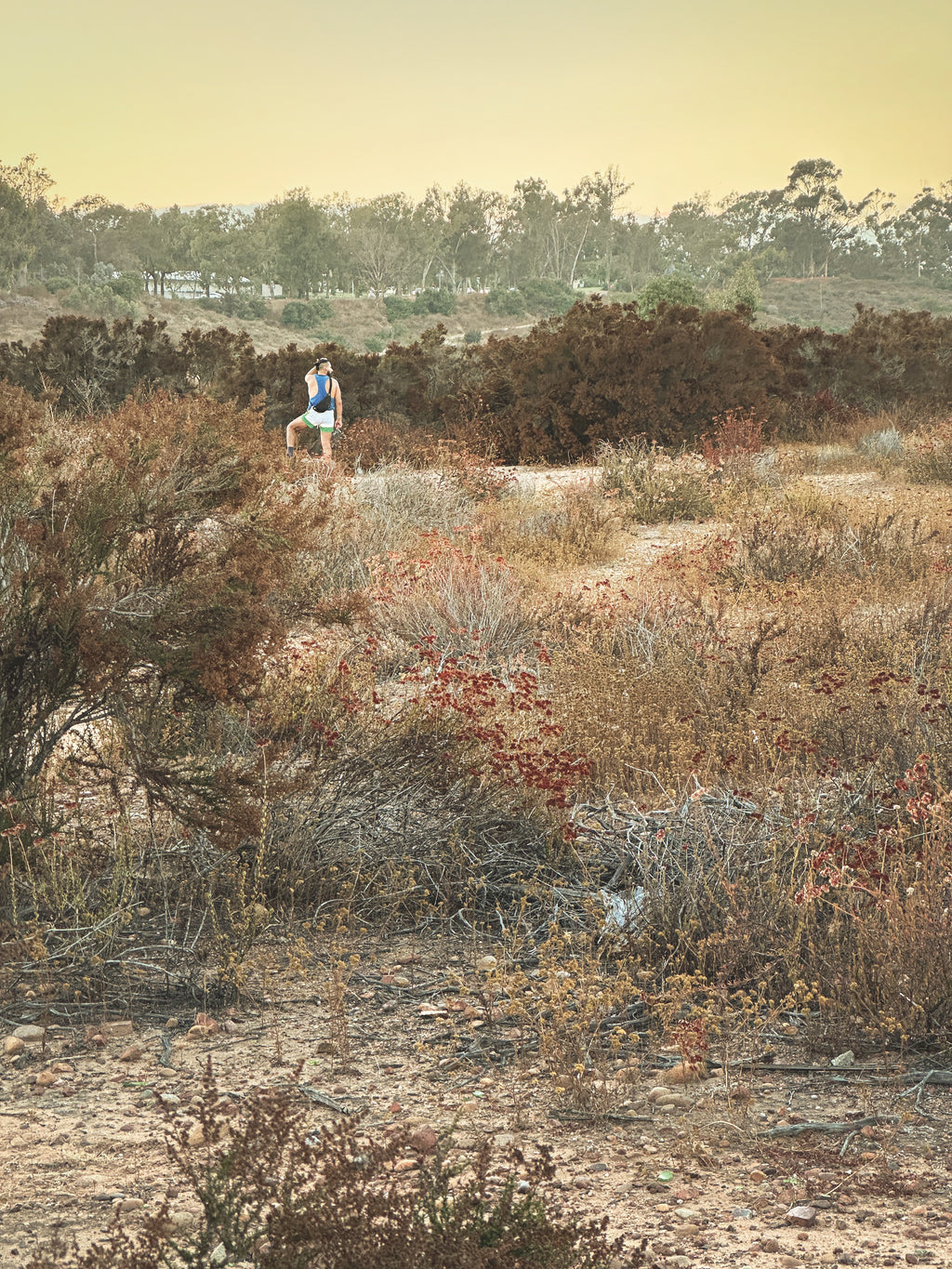 Daniel Case, Sunset Watch, 2023