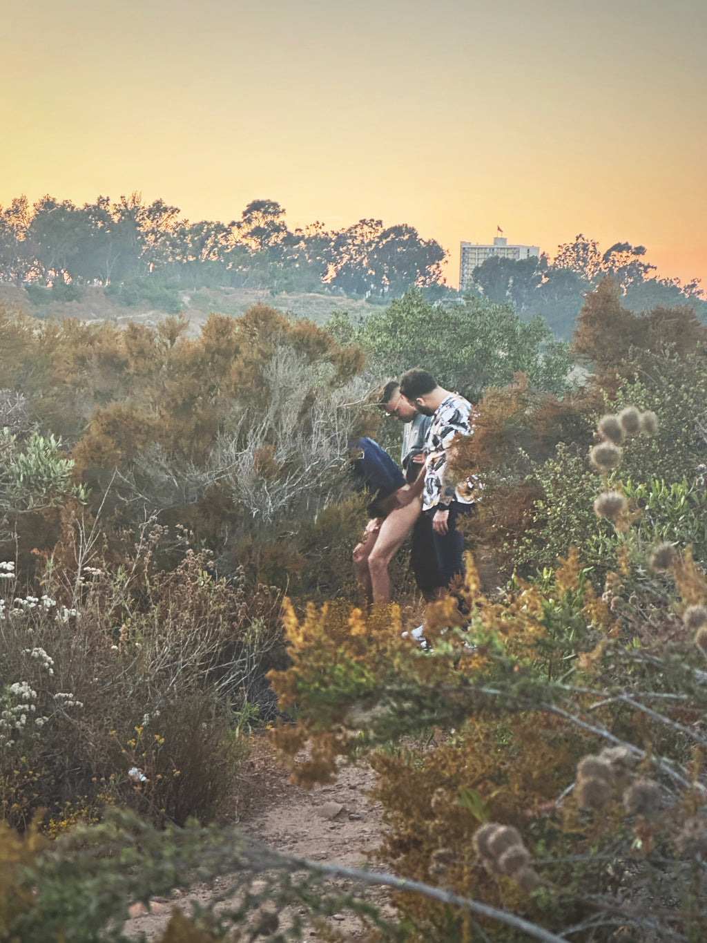 Daniel Case, Brush Play, 2023